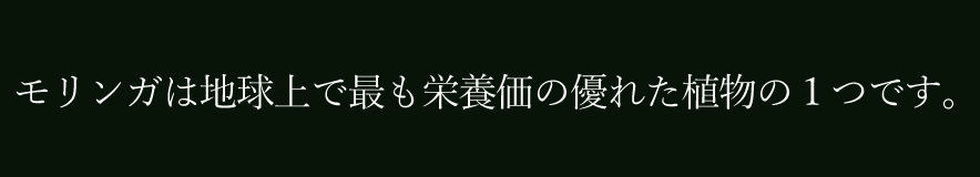 モリンガは地球上で最も栄養価の優れた植物のひとつです